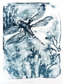 7.bomhardt